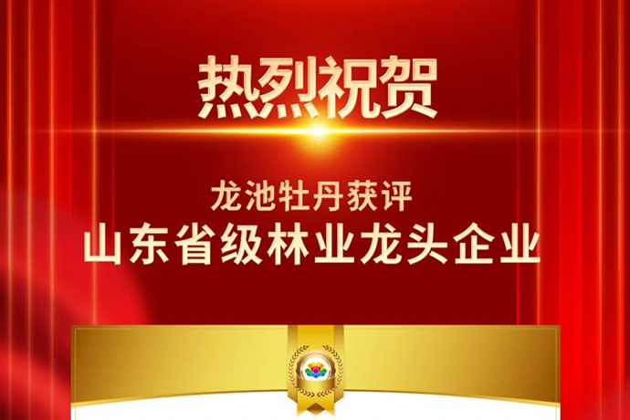 龙池牡丹获评山东省省级林业龙头企业